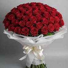 Букет 101 Красная роза Блэк Мэджик в Кингисеппе