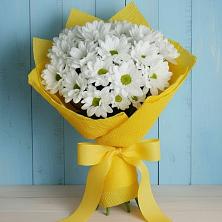Букет цветов из:  Хризантемы в Кингисеппе