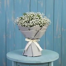 Букет цветов из:  Гипсофила в Кингисеппе