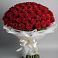 Букет 101 Красная роза Блэк Мэджик в Кингисеппе