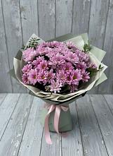 Букет цветов из:  Хризантемы в Кингисеппе