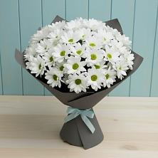 Букет цветов из:  Хризантемы в Кингисеппе