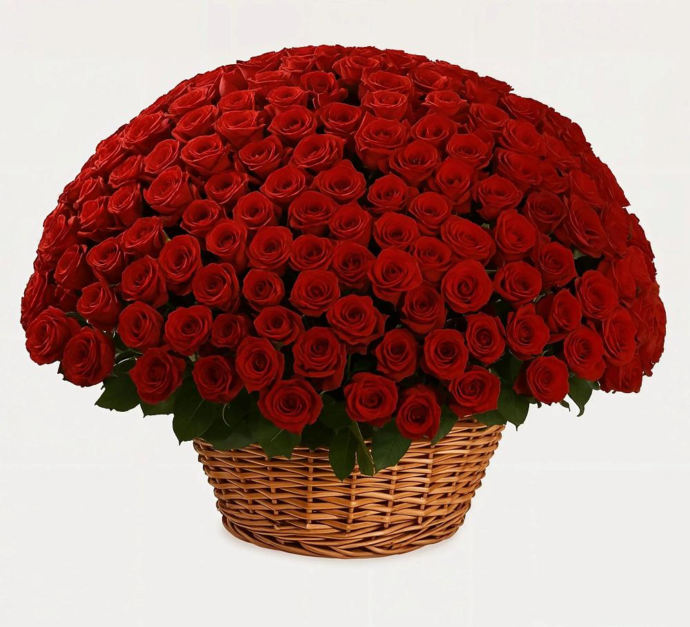 Премиум букет из: Розы в Кингисеппе