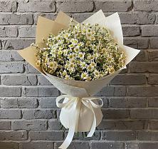 Букет цветов из:  Ромашки в Кингисеппе