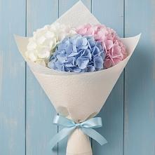 Букет цветов из:  Гортензия в Кингисеппе
