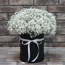 Цветочная композиция из Гипсофила в шляпной коробке в Кингисеппе