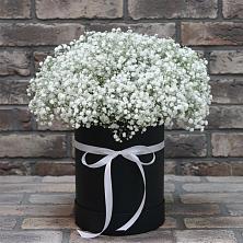 Цветочная композиция из Гипсофила в шляпной коробке в Кингисеппе